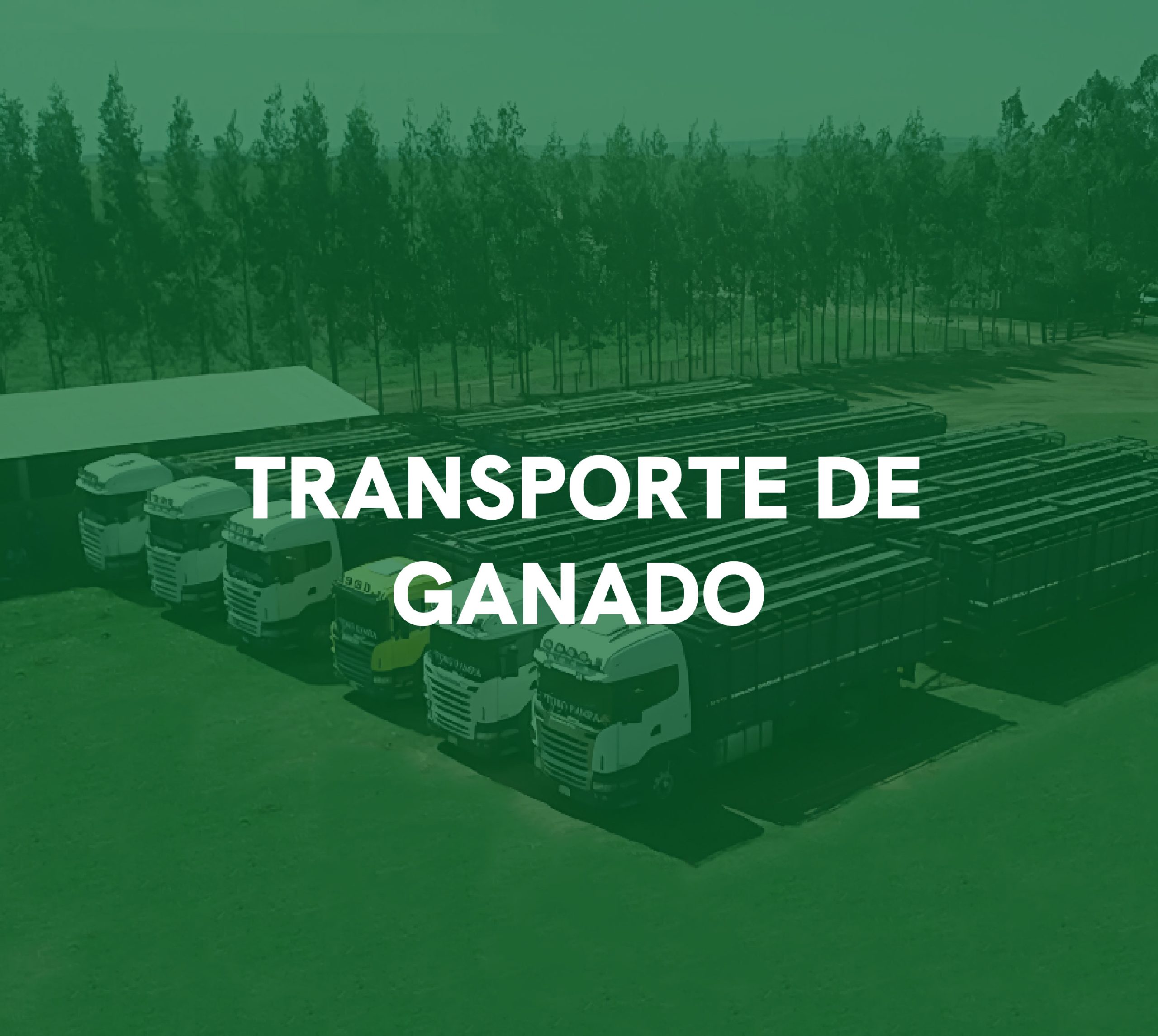 Respaldo Operativo
